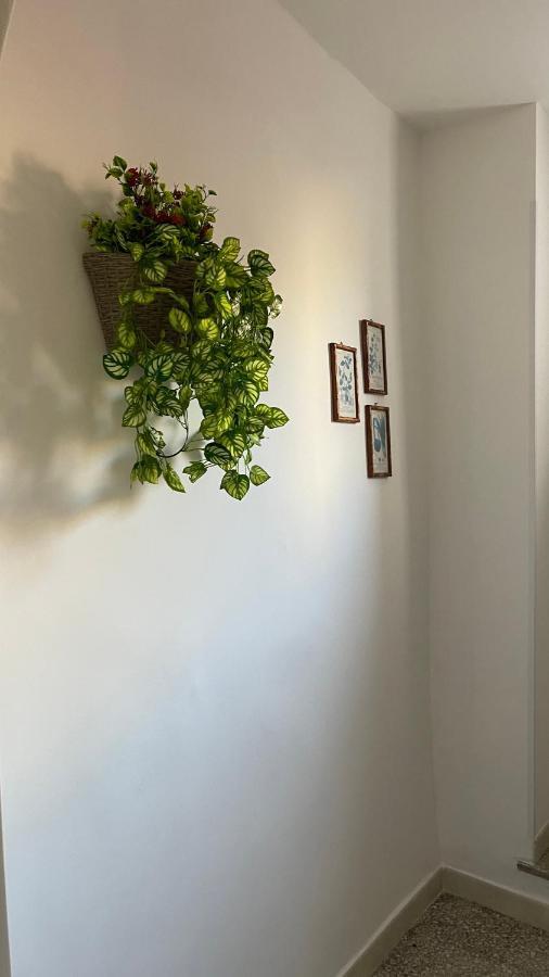 Santa Lucia Affittacamere 라메지아 테르메 외부 사진
